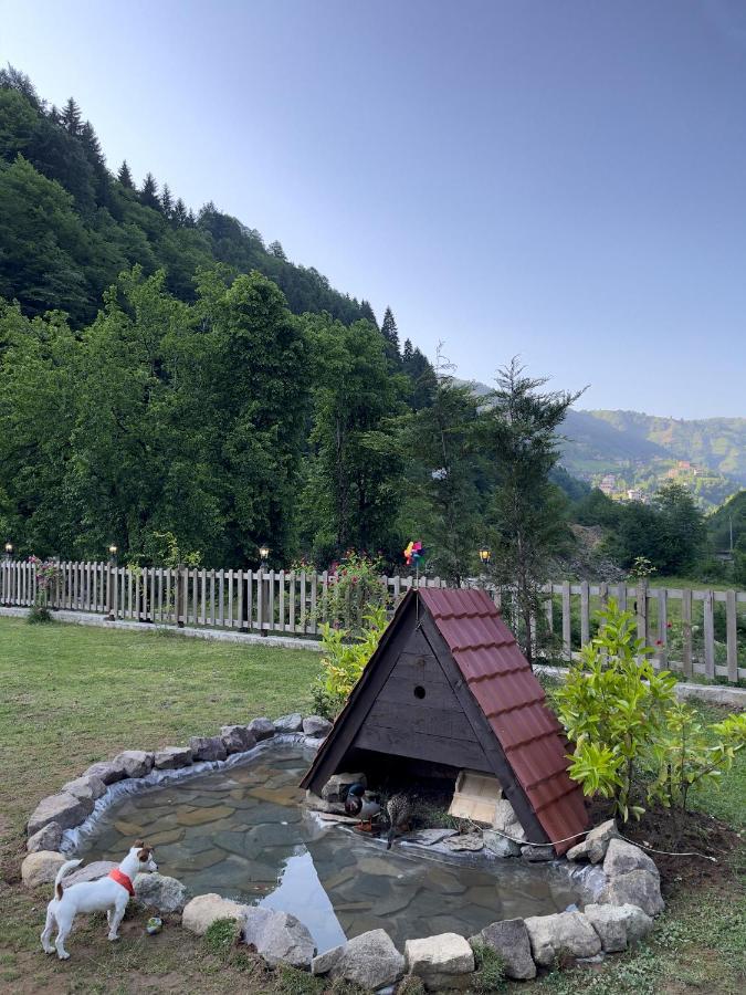 Dream River Exclusive Bungalow Rize Luaran gambar